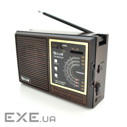 Радіоприймач GOLON RX9933UAR, 6W, AM / FM радіо, Вхід microSD, USB, живлення від 220+АКБ+4*LR20, кор