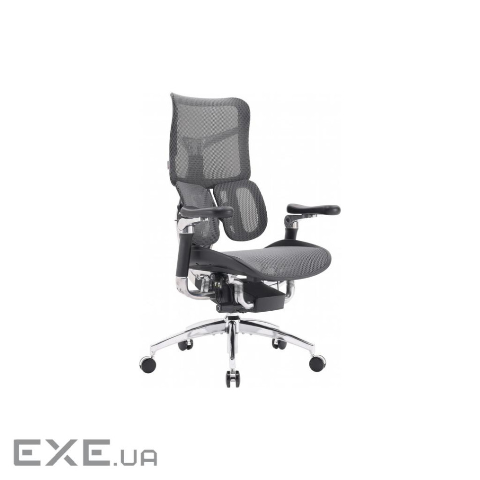 Офісне крісло Sihoo DORO S300 Mesh Dark Grey (S300-M201)