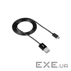 Дата кабель USB 2.0 AM to Micro 5P 1.0m Canyon (CNE-USBM1B)