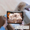 Чохол до планшета BeCover Soft Edge TPU Apple iPad Air 11" M4 2026 Gray (715258)