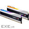 Модуль пам'яті G.SKILL Trident Z5 RGB Metallic Silver DDR5 6000MHz 32GB Ki (F5-6000J3040F16GX2-TZ5RS)