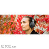 Навушники Muse M-278 FB Bluetooth Black