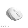 Canyon 6 buttons wireless 2.4Ghz mouse, MX8650A Sensor, DPI up to 1600,Injection case, (CNE-CMSW20W)