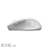 Canyon 6 buttons wireless 2.4Ghz mouse, MX8650A Sensor, DPI up to 1600,Injection case, (CNE-CMSW20W)