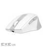 Мишка A4Tech FG35CS Plus Wireless White (4711421002998)