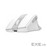 Мишка A4Tech FG35CS Plus Wireless White (4711421002998)