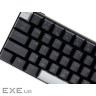 Клавіатура Thunderobot K78B RGB Brown Switch USB UA Black (6932066308681)