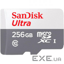 SanDisk Ultra microSDXC 256GB 100MB/s Class 10 UHS-I, EAN:619659196516 (SDSQUNR-256G-GN3MN)