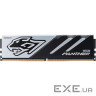 Модуль пам'яті APACER Panther DDR5 5200MHz 32GB Kit 2x16GB (AH5U32G52C5227BAA-2)
