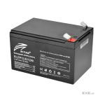 Батарея із системою підігріву RITAR Ritar R-LFP12.8V12AH