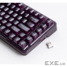 Клавіатура Thunderobot K75 TKL RGB Tri-mode Violet Mist Moon Switch UA Purple (6932066305550)