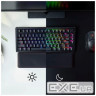 Клавіатура механічна HyperX Alloy Rise 75key, Red, USB-A/WL/BT, EN/UA, RGB, чорний (91Y91AA) (91Y91AA)