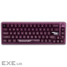 Клавіатура Thunderobot VIC68 Gateron Magnetic Jade Switch Purple USB UA (6932066317201)