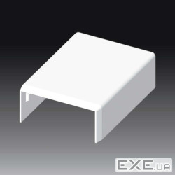 Заглушка для LHD 50x20, LHD 50x20/1, LHD 50x20/2 , Серія LH, ПВХ (8991_HB) (8991_HB)