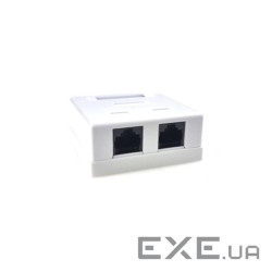 Розетка EServer (WT-2015A) 2хRJ-45, Cat5Е, зовнішня, білий
