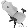 Крісло ігрове Anda Seat Phantom 3 Size L Grey (AD18Y-06-G-F)