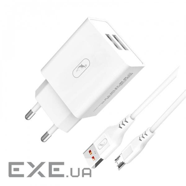 Зарядний пристрій SkyDolphin SC30V (2USB, 2.1A) White (MZP-000114) + кабель Type-C