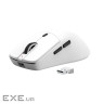 Мишка Thunderobot ML6Pro Tri-mode SE Edition (6974511793987)