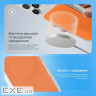 Чехол Proove Tint Case with Magnetic Ring iPhone 16 Pro Max natural titanium (PCTCIP16PM27)