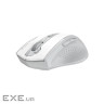 Мишка A4Tech Fstyler FG55S Plus Wireless White (4711421003438)