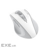 Мишка A4Tech Fstyler FG55S Plus Wireless White (4711421003438)