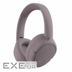 Навушники JLAB JBuds Lux ANC Mauve (IEUHBJLUXANCRMVE62)