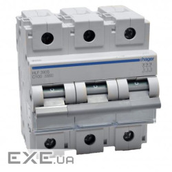 Автоматичний вимикач In = 100 А "C" 10kA (HLF390S)
