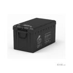 LiFePO4 aкумулятор Ritar LFP12.8V200AH-G3 (BT)