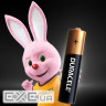 Батарейка Duracell AAA лужні 10 шт. в упаковці (5002509/5006462)