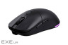 Миша 2E 2E-MGHDPR-WL-BK