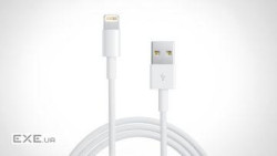 Дата кабель USB 2.0 AM to Lightning 1.0m PowerPlant (DV00DV4042)