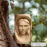Пластик для 3D-принтера Prusament Woodfill Linden Light 1kg