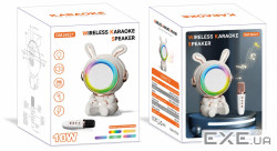 Караоке система з мікрофоном та колонкою Space Rabbit DIY TOYS (CJ-4877641)