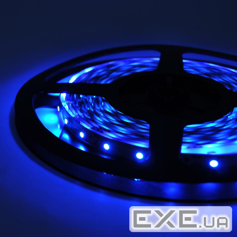Стрічка Світлодіодна 3528, (60 світлодіодів), 12B, 5 метрів котушка Blue (3528BS / Be) Blue (3528BS / Be)