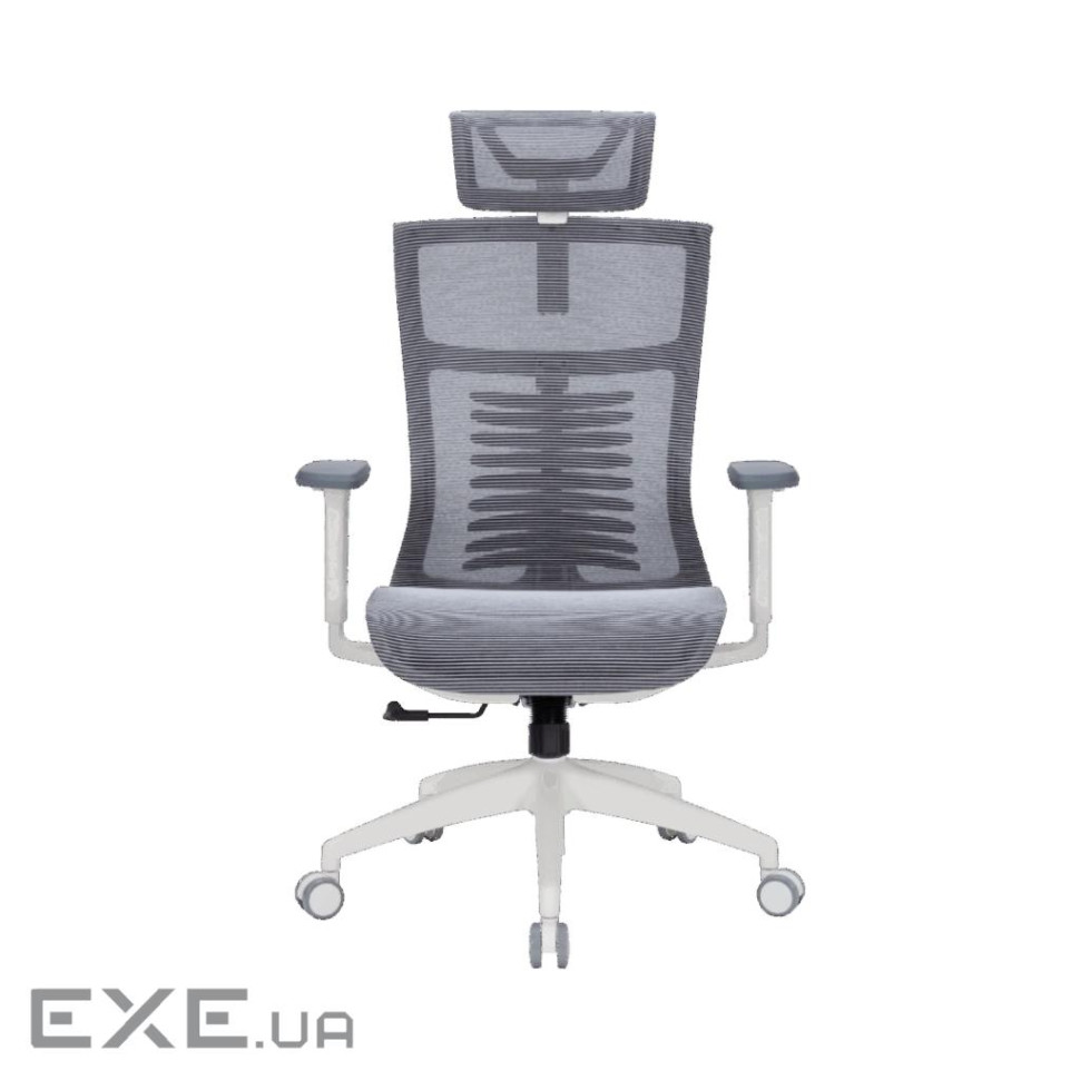 Офісне крісло OfficePro Balance OC620-W-DG-DG