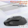 Мишка Meetion R571 Wireless White/Gray (MT-R571-C)