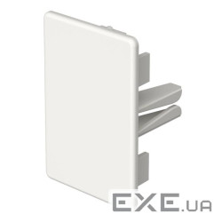 Заглушка кабель-каналу 60x40/ПВХ OBO Bettermann 6193226