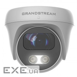 IP camera GRANDSTREAM GSC3610 (3.6)