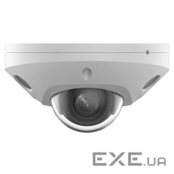 DS-2CD2543G2-LIS2U (4,0)