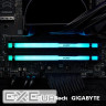 Модуль пам'яті KINGSTON FURY Beast RGB DDR5 5600MHz 16GB (KF556C36BBEA-16)