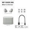 Навушники Sony WF-1000XM6 Silver (WF1000XM6S.CE7)
