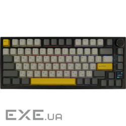 Клавіатура EPOMAKER AK820 Pro RGB Mechanical Gift Switch Hot-Swap (AK820-PRO-B-G) Black EPOMAKER AK820 Pro RGB Mechanica