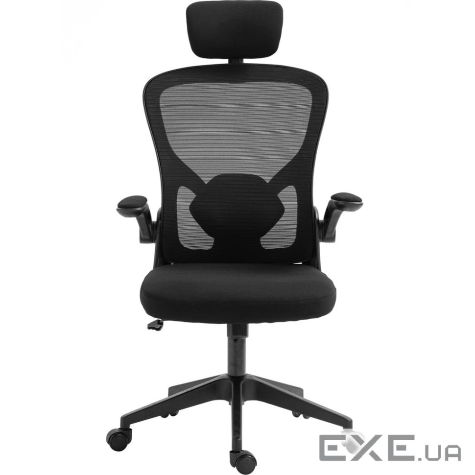 Крісло ігрове Sandberg ErgoFusion Gaming Chair Basic, чорне (640-97)
