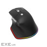 Mиша USB OPTICAL WRL EASY FIT BK HP.EXPBG.021 ACER