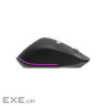 Mиша USB OPTICAL WRL EASY FIT BK HP.EXPBG.021 ACER