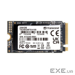SSD диск TRANSCEND MTE410S 256GB M.2 NVMe (TS256GMTE410S)