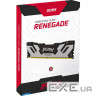 Модуль пам'яті KINGSTON FURY Renegade Black/Silver DDR5 6400MHz 32GB (KF564C32RS-32)