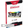 Модуль пам'яті KINGSTON FURY Renegade RGB Black/Silver DDR5 6400MHz 32GB (KF564C32RSA-32)