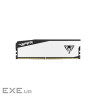 Модуль пам'яті PATRIOT Viper Elite 5 White DDR5 6000MHz 32GB Kit 2x16GB (VEB532G6030KW)