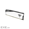 Модуль пам'яті PATRIOT Viper Elite 5 White DDR5 6000MHz 32GB Kit 2x16GB (VEB532G6030KW)